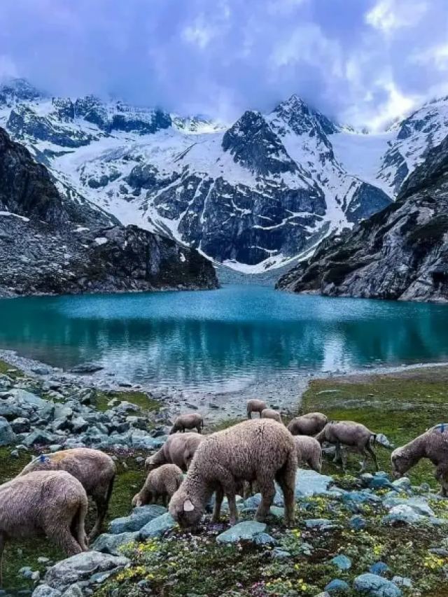 Journey Through Paradise: Trekking in Kashmir